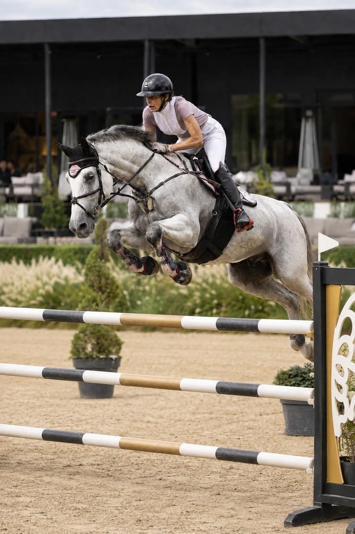 Springreiten im Parcours auf einem Schimmel