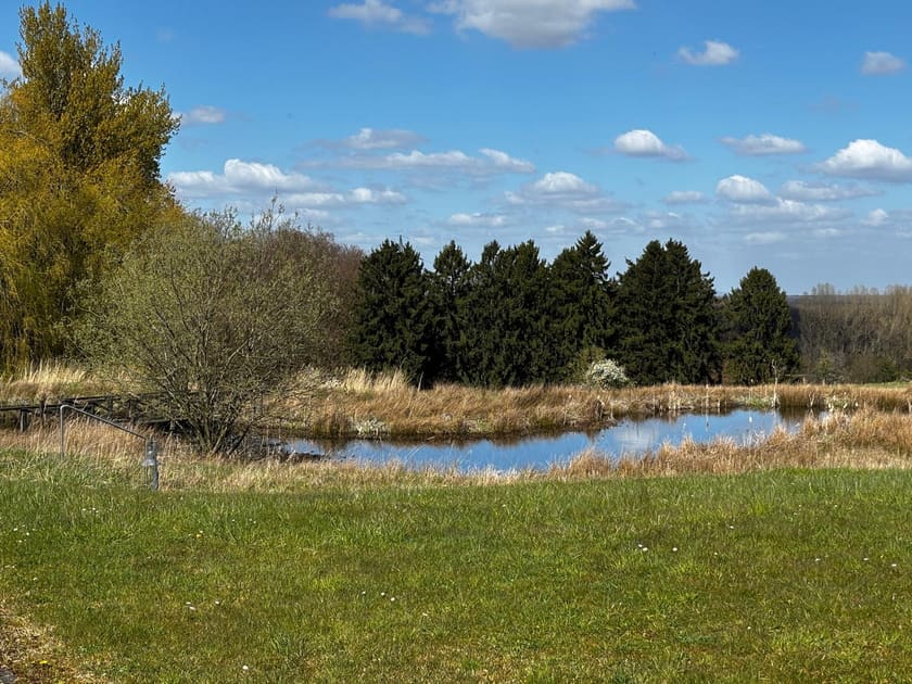 Teich und Weide am Gut im Frühjahr