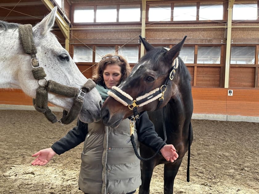Zwei Pferde nehmen in der Reithalle Kontakt zu einer Frau auf