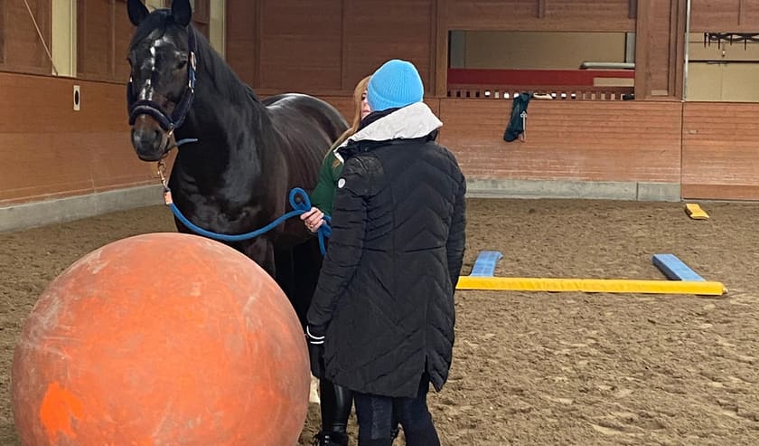 Coaching-Übung mit Pferd und Ball in der Reithalle